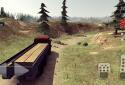 Truck Driver crazy road screenshot 7