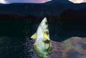 Fishing Fever screenshot 6