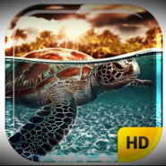 Ocean Turtle Water Pool