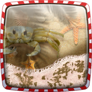 Hot Beach Live Wallpaper