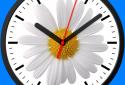 Logo Analog Clock-7 screenshot 4