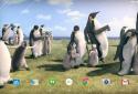 Arctic Penguin Live Wallpaper screenshot 7