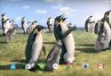 Arctic Penguin Live Wallpaper screenshot 8