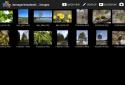 Photo Mate R2 screenshot 9