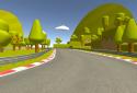 MES Car Toon Racing screenshot 4