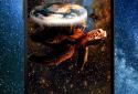 Star Turtle Pro Live Wallpaper screenshot 2
