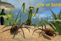 Life of Spider screenshot 1