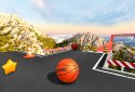 BasketRoll 3D: Rolling Ball screenshot 3
