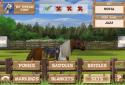 Pony Trails screenshot 13