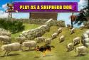 Shepherd Dog Simulator 3D screenshot 15