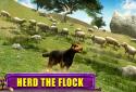 Shepherd Dog Simulator 3D screenshot 7