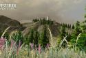 FOREST TRUCK SIMULATOR screenshot 3