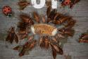 Roaches Rush screenshot 3