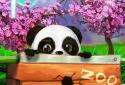 Daily Panda : virtual pet screenshot 6
