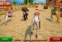 Dog Race & Stunts 2016 screenshot 7