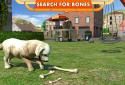 Street Dog Simulator 3D screenshot 10