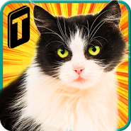 Street Cat Sim 2016