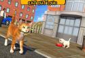 Street Cat Sim 2016 screenshot 11