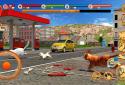 Street Cat Sim 2016 screenshot 15