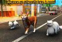 Street Cat Sim 2016 screenshot 3