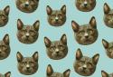 Patternator: Cutest Wallpapers screenshot 3