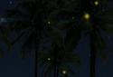 Beach Palms 3D Live Wallpaper screenshot 4