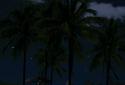 Beach Palms 3D Live Wallpaper screenshot 7
