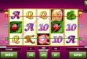 Lucky Lady Deluxe Slots screenshot 2
