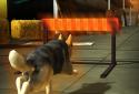 Dog Simulator 3D Games screenshot 10