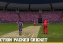 Big Bash 2016 screenshot 4