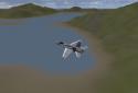 PicaSim: Free flight simulator screenshot 13