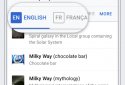 Wikipedia screenshot 2