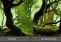 Mossy Forest Live Wallpaper screenshot 12