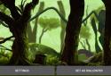 Mossy Forest Live Wallpaper screenshot 13