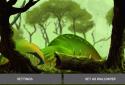 Mossy Forest Live Wallpaper screenshot 15