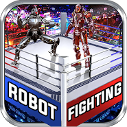 Real Robot Ring Fighting