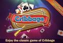 Cribbage Deluxe screenshot 1