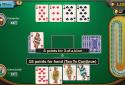 Cribbage Deluxe screenshot 2