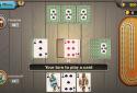 Cribbage Deluxe screenshot 6