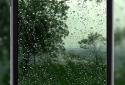 4K Rain Video Wallpaper screenshot 2