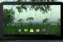 4K Rain Video Wallpaper screenshot 5