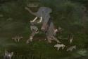 Wild Animals Online screenshot 3