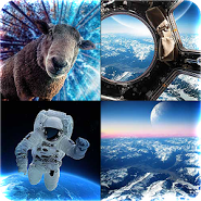 MOSAIC 2.5D Wallpapers