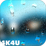 Rain Drops on Screen 4K 3D LWP
