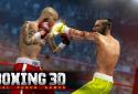 Boxing 3D - Real Punch screenshot 2