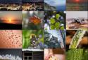 Photo Mate R3 screenshot 1