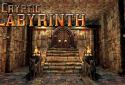 Cryptic Labyrinth screenshot 1