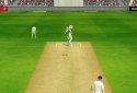 Cricket Megastar screenshot 9