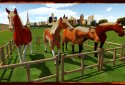 Horse Show Jumping Challenge screenshot 13
