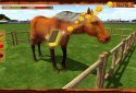 Horse Show Jumping Challenge screenshot 14